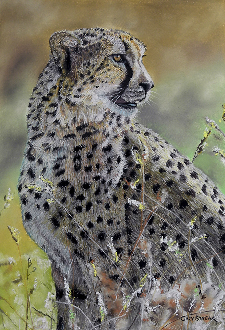 Waiting-in-the-Grass-26-06-2024